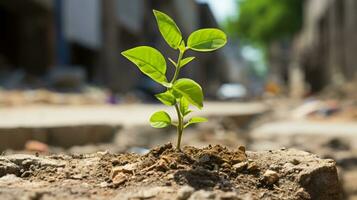 un pequeño planta es creciente fuera de el suelo generativo ai foto