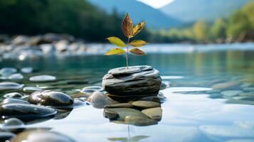 un pequeño planta es sentado en parte superior de un rock en el agua generativo ai foto