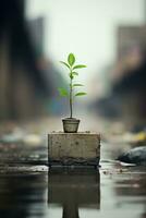 a small plant is sitting on top of a wooden block in the middle of a puddle generative ai photo