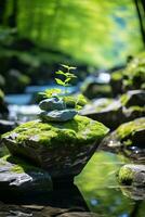 a small plant is sitting on a rock in the middle of a stream generative ai photo