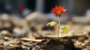 un pequeño rojo flor es creciente fuera de el suelo generativo ai foto