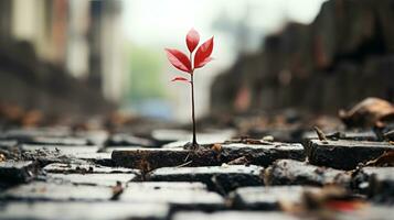 un pequeño rojo planta es creciente fuera de un ladrillo camino generativo ai foto