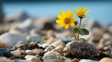 a small yellow flower growing out of a rock generative ai photo