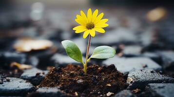 un pequeño amarillo flor es creciente fuera de el suelo generativo ai foto