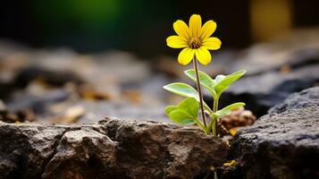 un pequeño amarillo flor es creciente fuera de un rock generativo ai foto