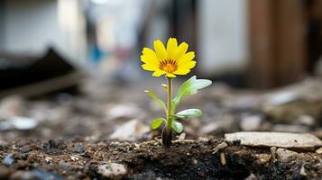 un pequeño amarillo flor es creciente fuera de el suelo generativo ai foto