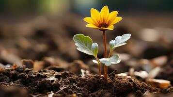 un pequeño amarillo flor es creciente fuera de el suelo generativo ai foto