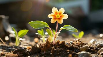 un pequeño amarillo flor es creciente fuera de el suelo generativo ai foto
