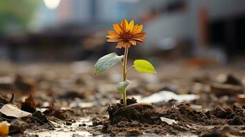 a sunflower growing out of the ground in the middle of a field generative ai photo