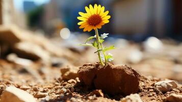 a sunflower is growing out of a rock in the dirt generative ai photo