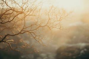 a tree with bare branches in front of the sun generative ai photo