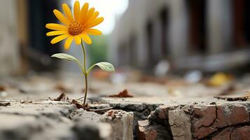 a yellow flower growing out of a crack in the ground generative ai photo