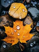 a yellow maple leaf with water droplets on it generative ai photo