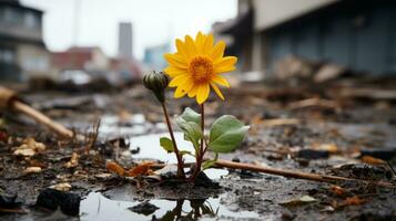 a yellow sunflower growing out of the mud in front of a city generative ai photo