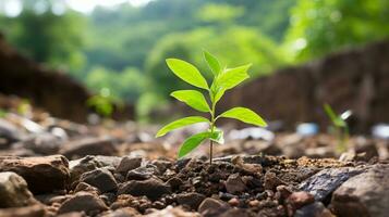 un joven planta brotante desde el suelo en el medio de un suciedad campo generativo ai foto