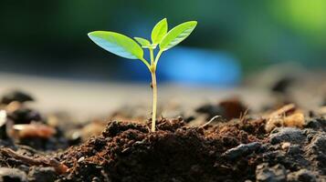 un joven planta brotante desde el suelo generativo ai foto