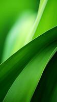 abstract green leaf background generative ai photo