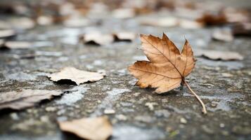 an autumn leaf laying on the ground generative ai photo