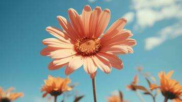 an orange flower is in front of a blue sky generative ai photo