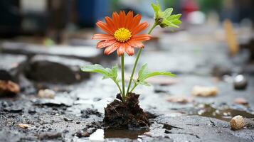 an orange flower is growing out of the ground generative ai photo