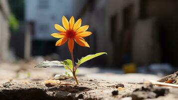 an orange flower is growing out of the ground generative ai photo