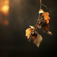 autumn leaves hanging from a branch in front of a dark background generative ai photo