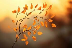 autumn leaves on a branch with a sunset in the background generative ai photo