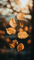 autumn leaves on a branch with the sun in the background generative ai photo