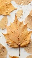 autumn leaves with water droplets on a white surface generative ai photo