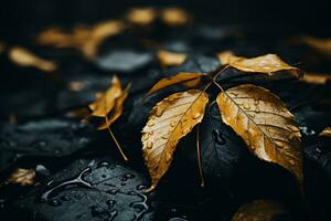 otoño hojas con agua gotas en negro antecedentes generativo ai foto