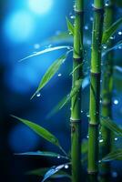 bamboo tree with water droplets on the leaves generative ai photo