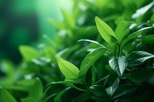 close up of green tea leaves on a green background generative ai photo