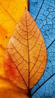 vistoso otoño hojas en un azul y amarillo antecedentes valores foto generativo ai