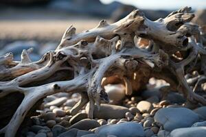 driftwood on the beach generative ai photo