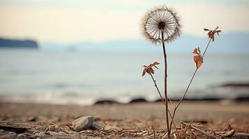 dandelion on the ground generative ai photo