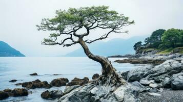 solitario árbol en rocas por el mar en Noruega generativo ai foto