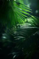 palm leaves in the jungle generative ai photo