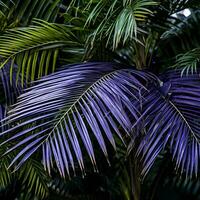 purple leaves of a palm tree generative ai photo