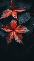 red leaves with water droplets on them on a dark background generative ai photo