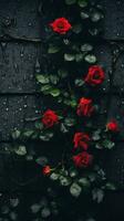 rojo rosas en un negro antecedentes con gotas de lluvia generativo ai foto