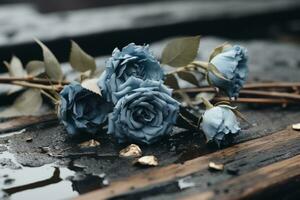 Tres azul rosas tendido en un de madera superficie generativo ai foto