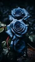 Tres azul rosas en un negro antecedentes generativo ai foto