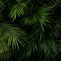 tropical palm leaves on black background generative ai photo