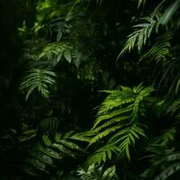 tropical plants in the jungle generative ai photo