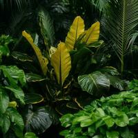 tropical plants in the jungle generative ai photo