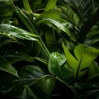 tropical plants with green leaves and water droplets generative ai photo