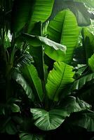 tropical plants with green leaves in the jungle generative ai photo