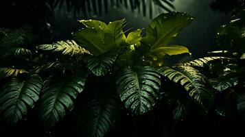 tropical plants in the jungle at night generative ai photo