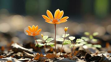 two orange flowers are growing out of the ground generative ai photo