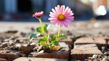 two pink flowers growing out of a brick wall generative ai photo